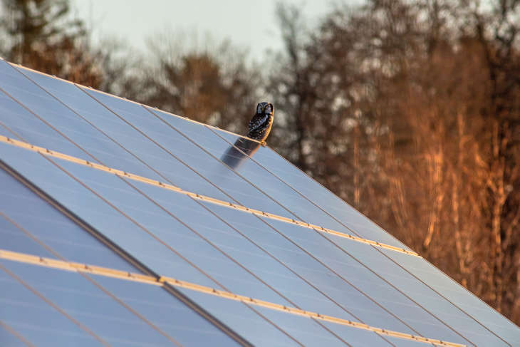 sombra paneles solares